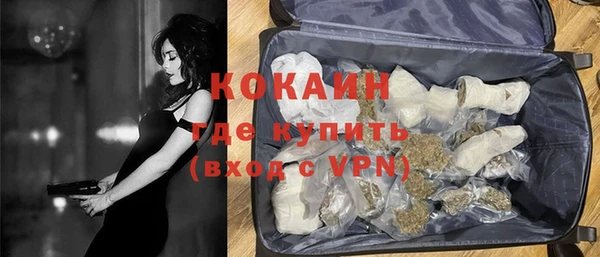 индика Алексеевка