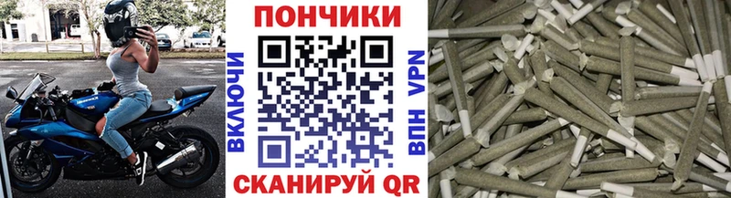 Канабис план  где продают наркотики  Отрадная 